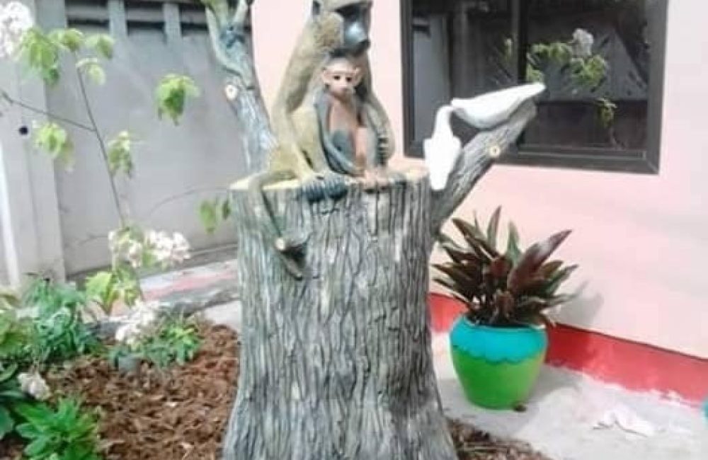 68416040_2466371926977063_9027550957273088000_n