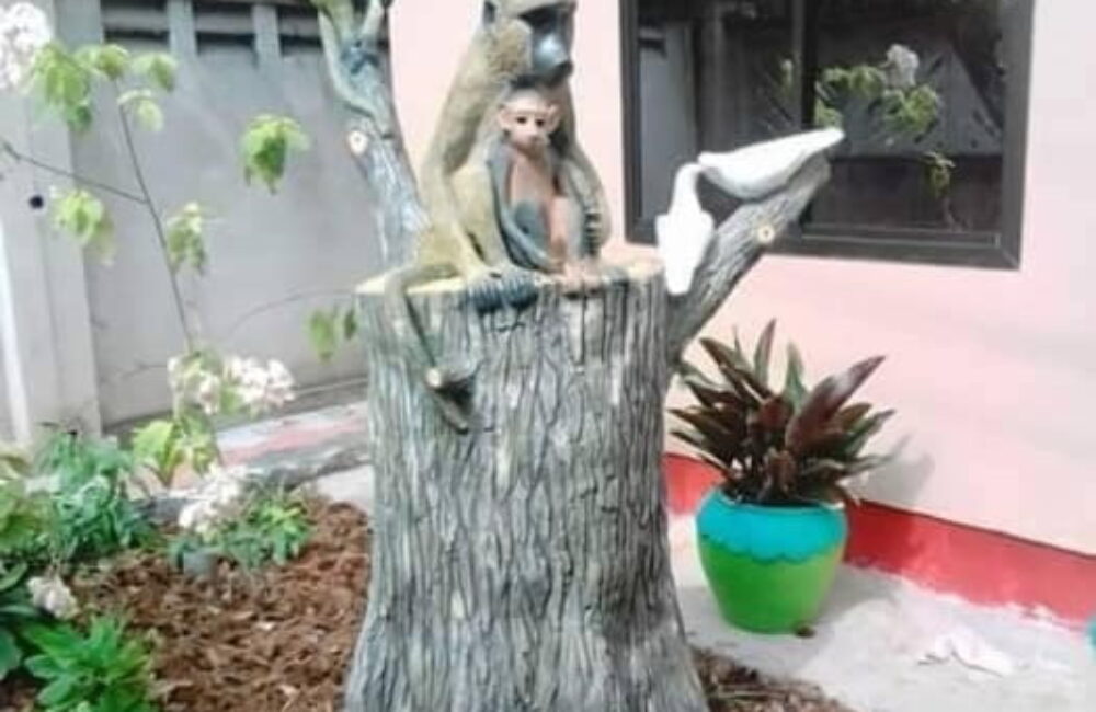 68416040_2466371926977063_9027550957273088000_n