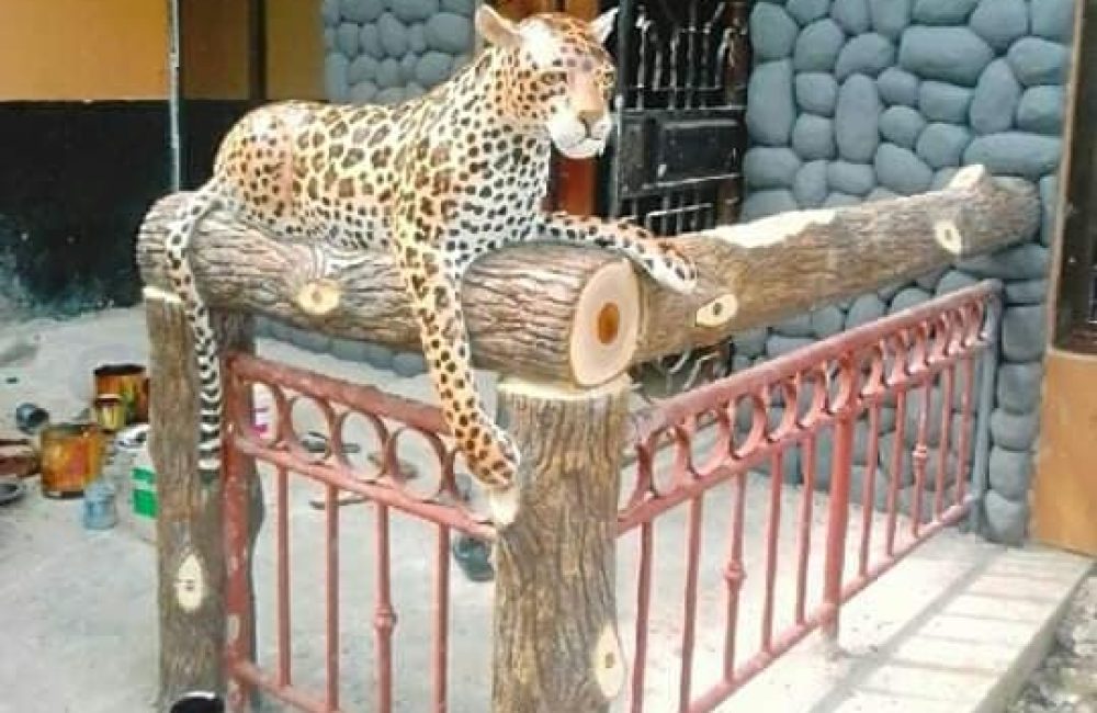 68479117_2466371973643725_4428131644615950336_n