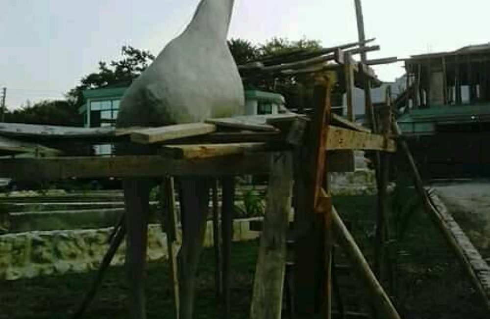 80687908_167462604628010_1110202604534628352_n