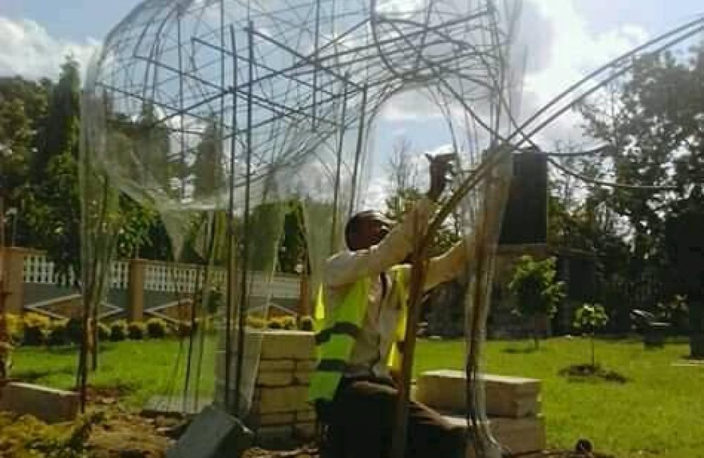 81307582_170393414334929_7920452308423409664_n