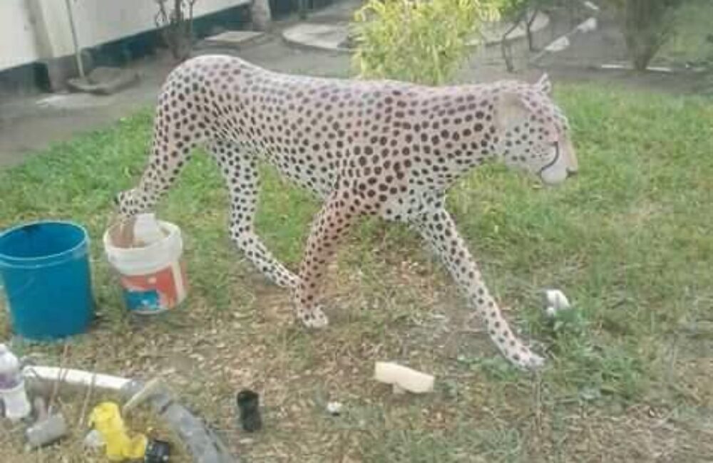 81849339_170393421001595_5291264318417928192_n