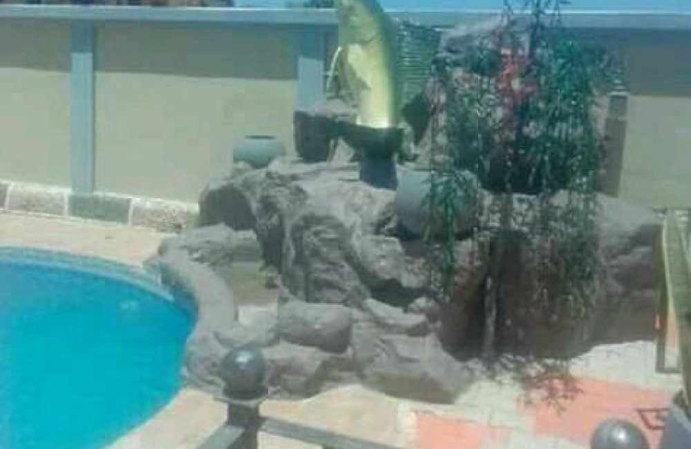 82306006_170393417668262_5032222093333233664_n