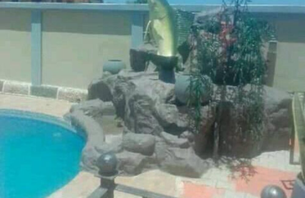 82306006_170393417668262_5032222093333233664_n