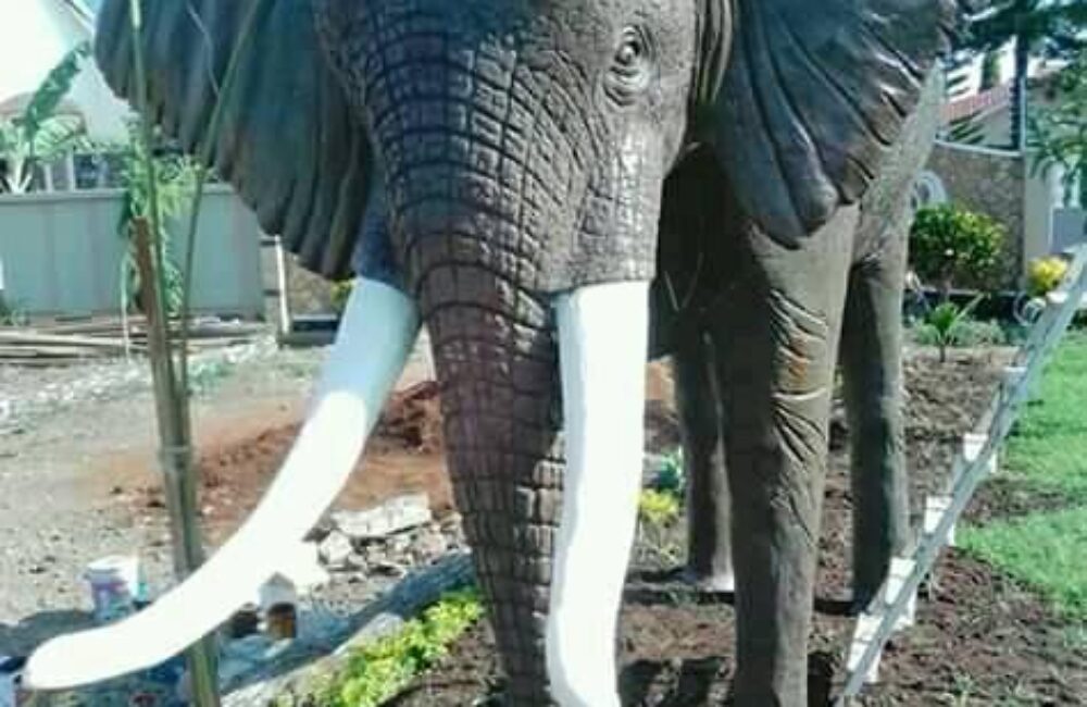 82514710_170393431001594_5062269989478727680_n