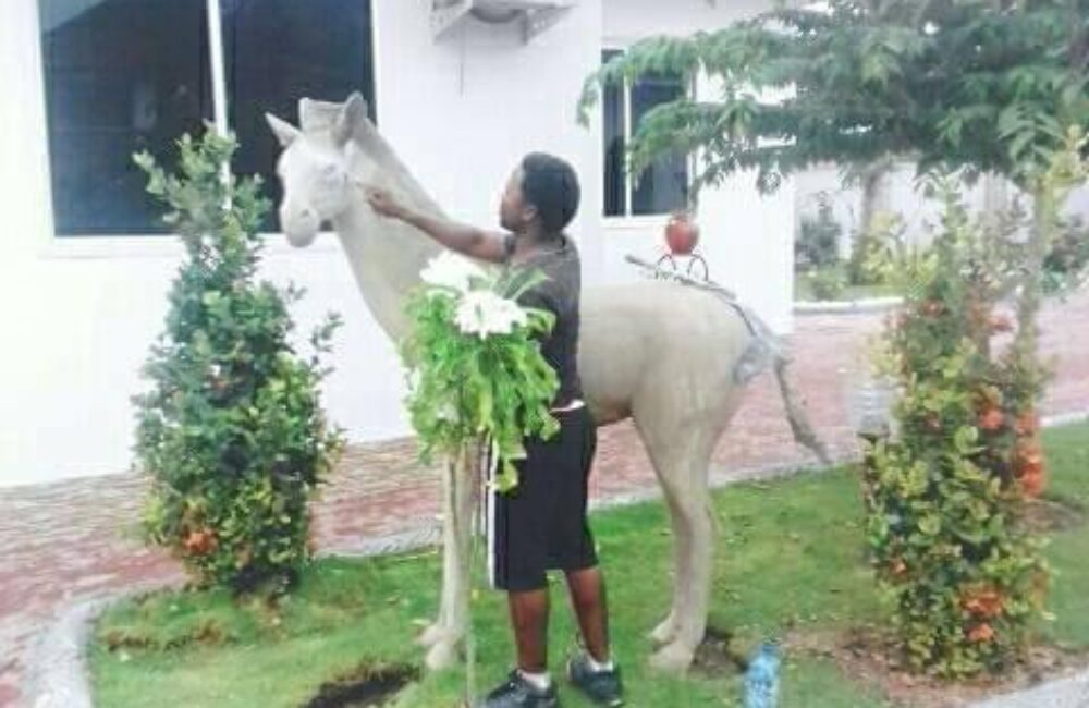 83827359_183661163008154_2323743986226823168_n