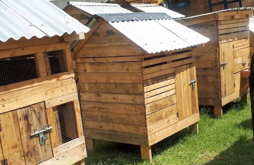 Screenshot_20240911-160434-1