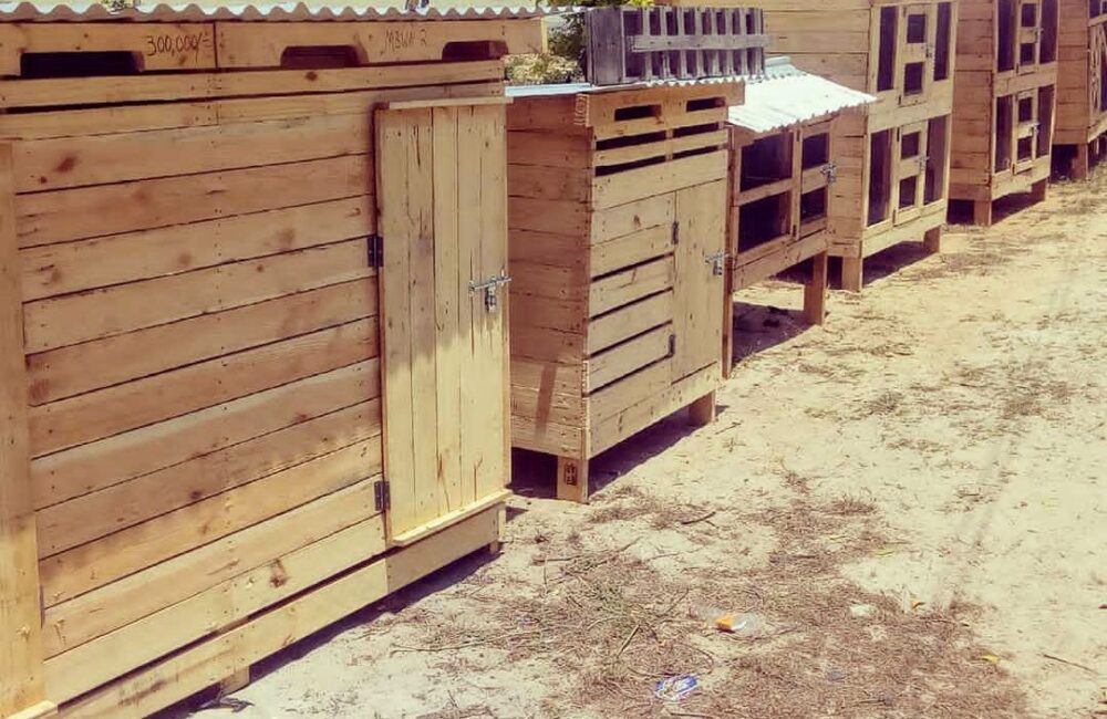 Screenshot_20240911-160644