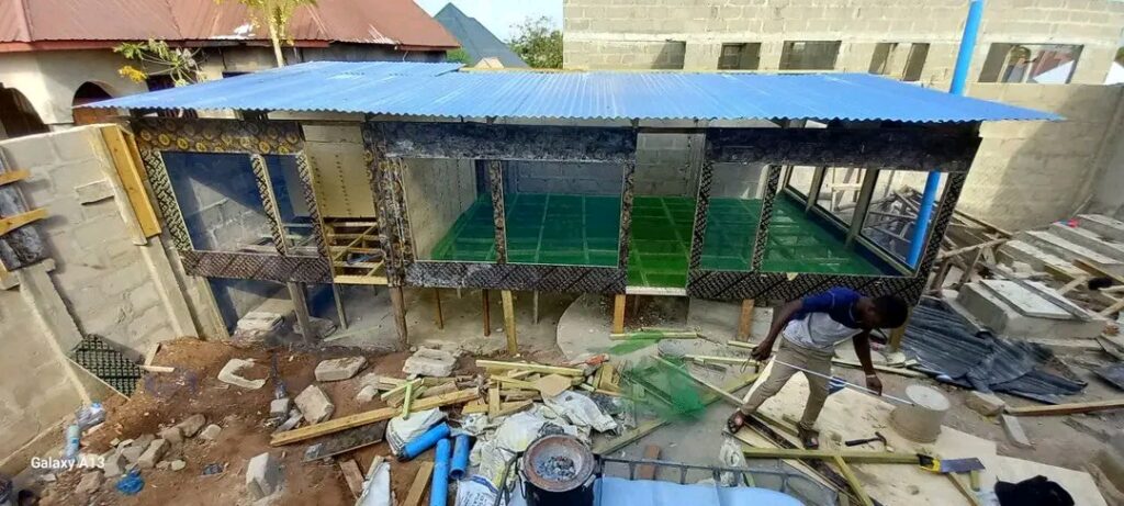 Nina jenga mabanda ya kisasa yenye uwezo wa kuingiza kuku zaidi ya mia moja na yanayo dumu kwa muda mrefu.