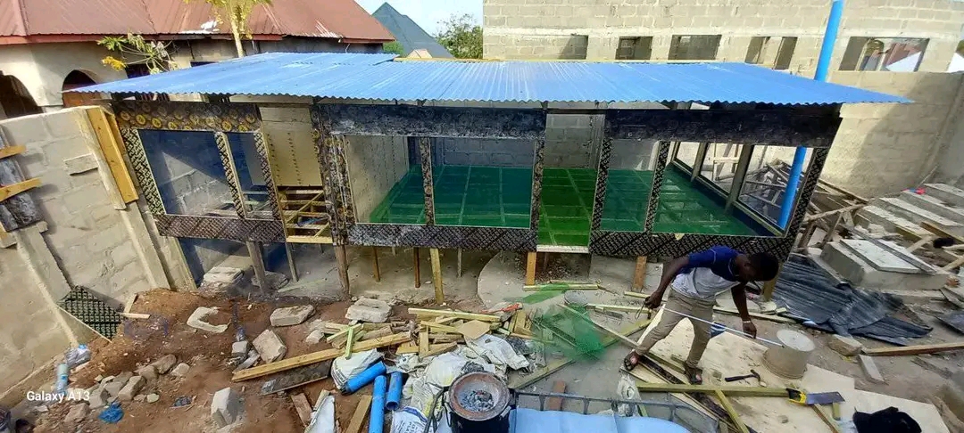 Nina jenga mabanda ya kisasa yenye uwezo wa kuingiza kuku zaidi ya mia moja na yanayo dumu kwa muda mrefu.