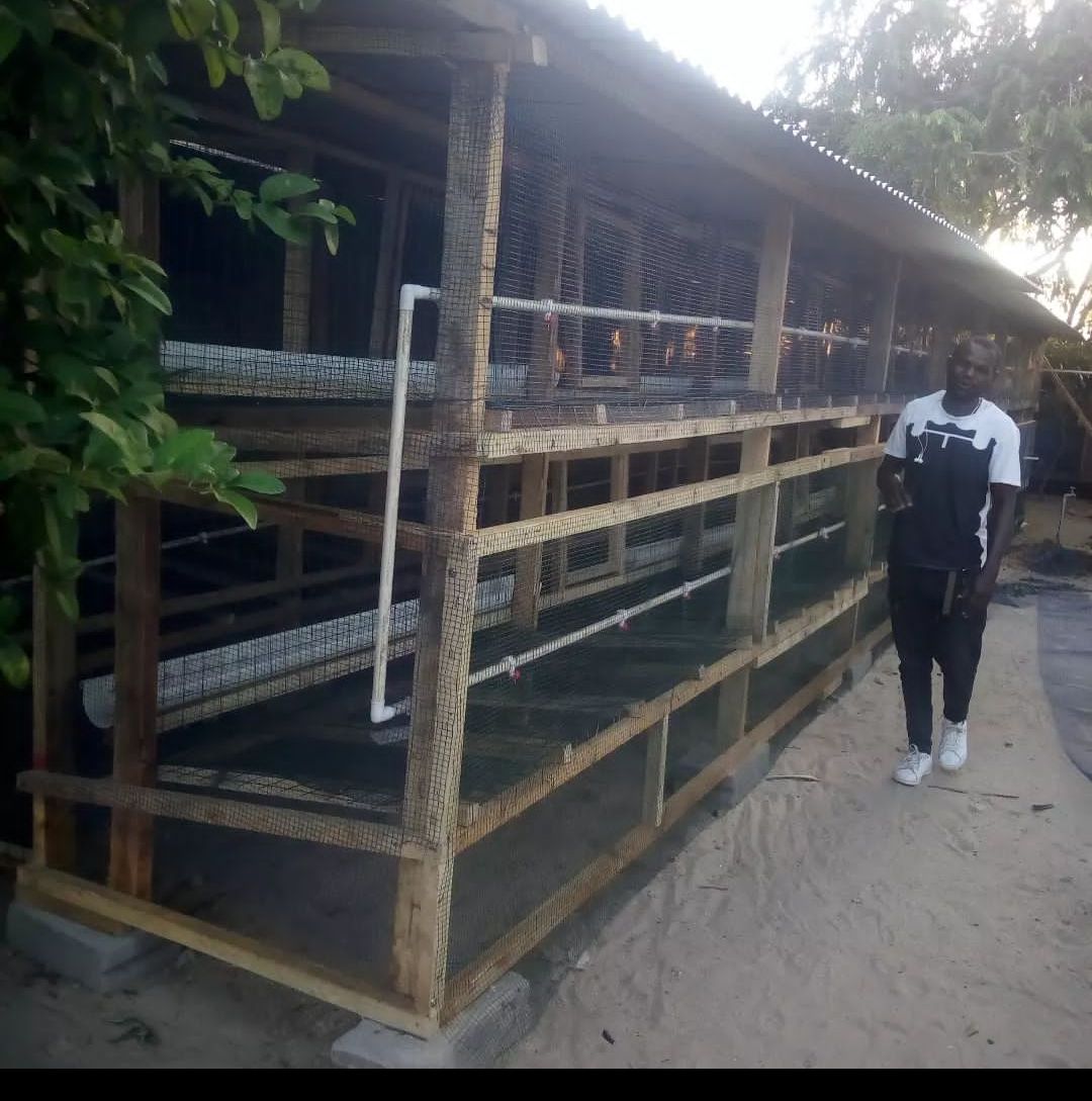 Nina jenga mabanda ya kuku ya kisasa na yanayo dumu kwa kutumia mbao kwa huduma hii nakufikia popote pale Tanzania.
